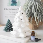 LOT DE 5 Brûle-Parfum Mixte